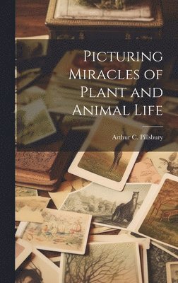 Picturing Miracles of Plant and Animal Life 1
