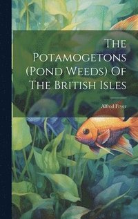 bokomslag The Potamogetons (pond Weeds) Of The British Isles