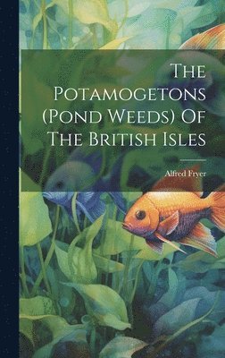 bokomslag The Potamogetons (pond Weeds) Of The British Isles