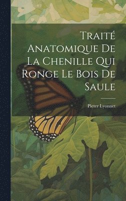 Trait Anatomique De La Chenille Qui Ronge Le Bois De Saule 1