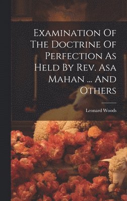 bokomslag Examination Of The Doctrine Of Perfection As Held By Rev. Asa Mahan ... And Others