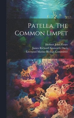 Patella, The Common Limpet 1