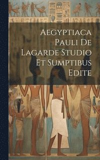 bokomslag Aegyptiaca Pauli De Lagarde Studio Et Sumptibus Edite