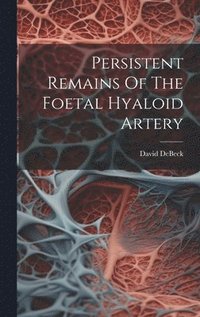 bokomslag Persistent Remains Of The Foetal Hyaloid Artery