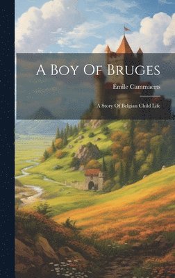 bokomslag Boy Of Bruges
