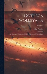 bokomslag Ootheca Wolleyana