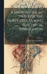 bokomslag A Microscopical Study Of The Nerve Cell During Electrical Stimulation