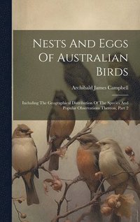 bokomslag Nests And Eggs Of Australian Birds