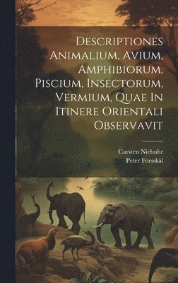 bokomslag Descriptiones Animalium, Avium, Amphibiorum, Piscium, Insectorum, Vermium, Quae In Itinere Orientali Observavit