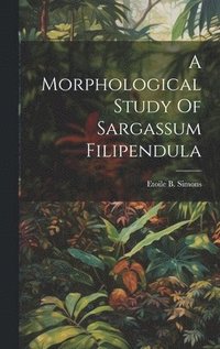 bokomslag A Morphological Study Of Sargassum Filipendula