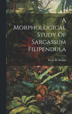 bokomslag Morphological Study Of Sargassum Filipendula