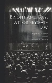 bokomslag Bright And Gay, Attorneys-at-law