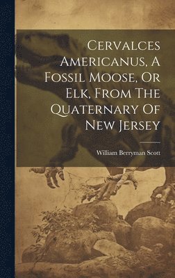 bokomslag Cervalces Americanus, A Fossil Moose, Or Elk, From The Quaternary Of New Jersey