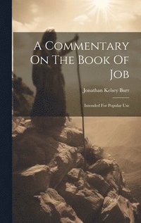 bokomslag A Commentary On The Book Of Job