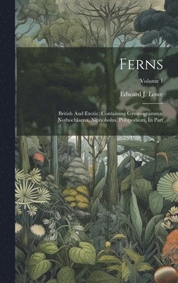 bokomslag Ferns