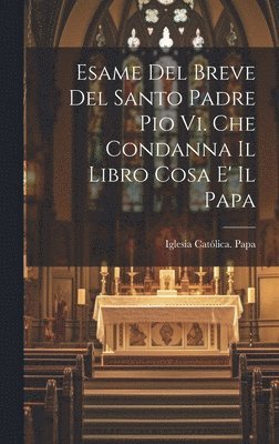 bokomslag Esame Del Breve Del Santo Padre Pio Vi. Che Condanna Il Libro Cosa E' Il Papa