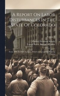 bokomslag Report On Labor Disturbances In The State Of Colorado
