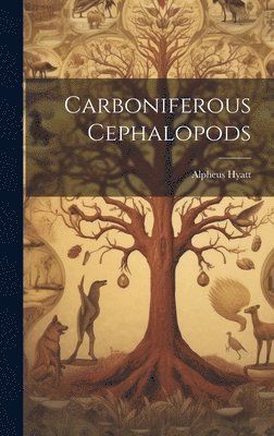 Carboniferous Cephalopods 1