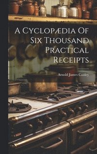 bokomslag A Cyclopdia Of Six Thousand Practical Receipts