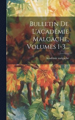 bokomslag Bulletin De L'acadmie Malgache, Volumes 1-3...