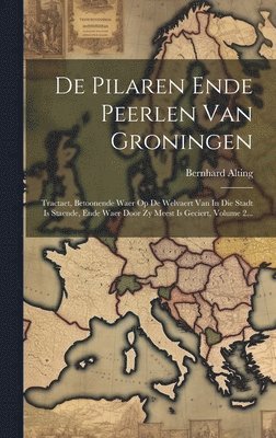 bokomslag De Pilaren Ende Peerlen Van Groningen