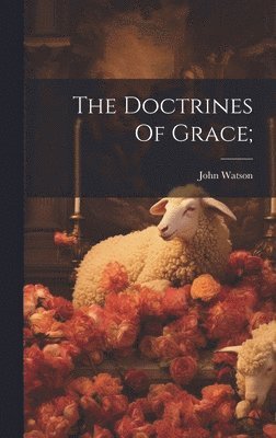 bokomslag Doctrines Of Grace;