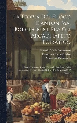 bokomslag Teoria Del Fuoco D'anton-ma. Borgognini, Fra Gli Arcadi Iapeto Egiratico