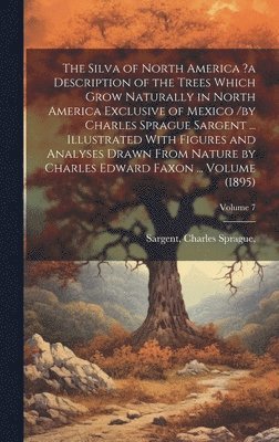 bokomslag The Silva of North America ?a Description of the Trees Which Grow Naturally in North America Exclusive of Mexico /by Charles Sprague Sargent ... Illustrated With Figures and Analyses Drawn From