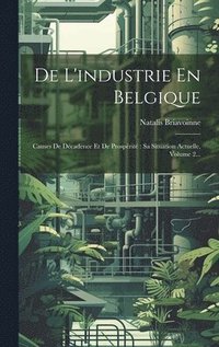 bokomslag De L'industrie En Belgique