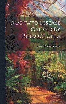 A Potato Disease Caused By Rhizoctonia 1