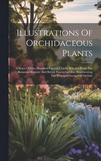 bokomslag Illustrations Of Orchidaceous Plants