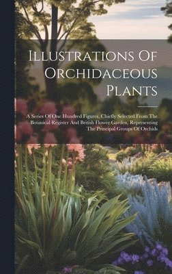 Illustrations Of Orchidaceous Plants 1