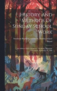 bokomslag History And Methods Of Sunday School Work