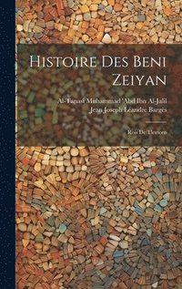bokomslag Histoire Des Beni Zeiyan