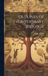 bokomslag Outlines of Evolutionary Biology