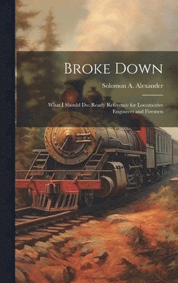 bokomslag Broke Down