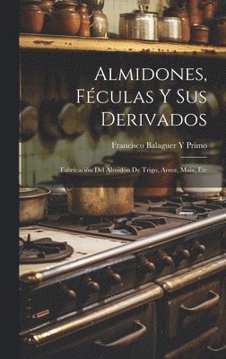 bokomslag Almidones, Fculas Y Sus Derivados