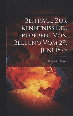 Alexander Bittner - Beiträge Zur Kenntniss Des Erdbebens Von Belluno Vom 29. Juni 1873, Inbunden