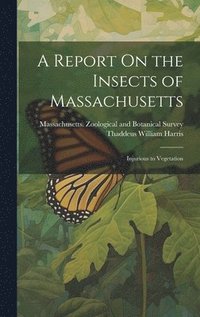 bokomslag A Report On the Insects of Massachusetts