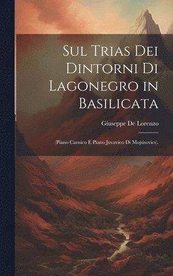 bokomslag Sul Trias Dei Dintorni Di Lagonegro in Basilicata