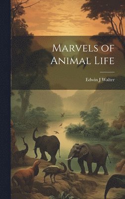 bokomslag Marvels of Animal Life