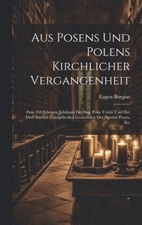 bokomslag Aus Posens Und Polens Kirchlicher Vergangenheit