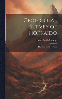 bokomslag Geological Survey of Hokkaido