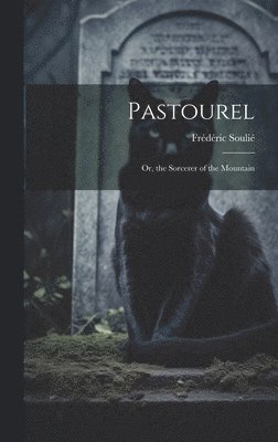 bokomslag Pastourel