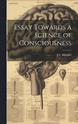 bokomslag Essay Towards a Science of Consciousness