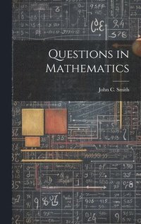 bokomslag Questions in Mathematics