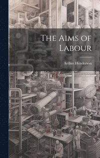 bokomslag Aims of Labour