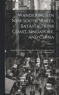 bokomslag Wanderings in New South Wales, Batavia, Pedir Coast, Singapore, and China