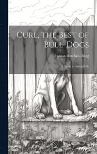 bokomslag Curl, the Best of Bull-Dogs