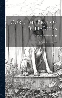 Curl, the Best of Bull-Dogs